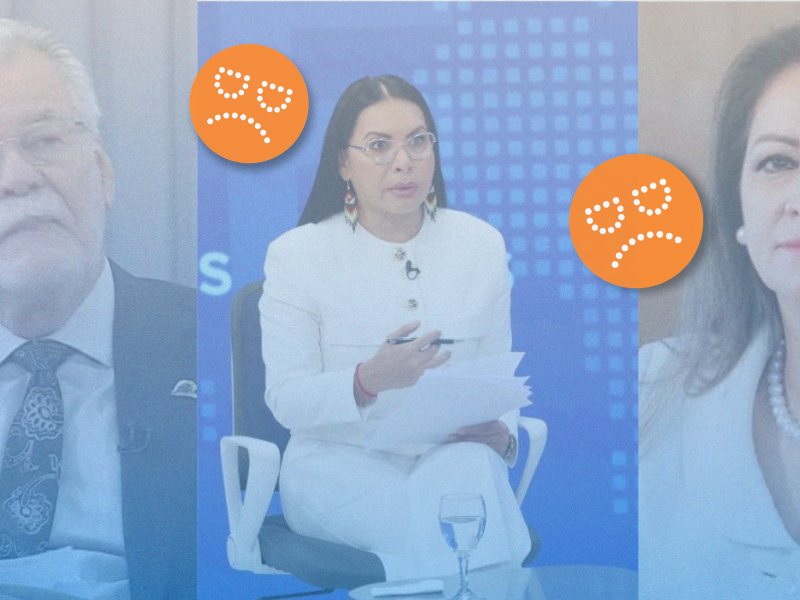 ELECCIONES ANTICIPADAS